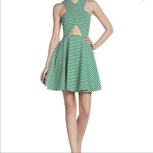 Torn by Ronny Kobo Green and White Striped Fit and Flare Dress